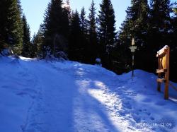 Slatni Mostove - Kumata
