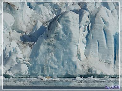 Plus qu'un Zodiac à l'eau, dernier coup d’œil sur le paysage avant d'appareiller, et je retrouve un des deux ours qui paraît effectivement très maigre - Croker Bay - Devon Island - Nunavut - Canada
