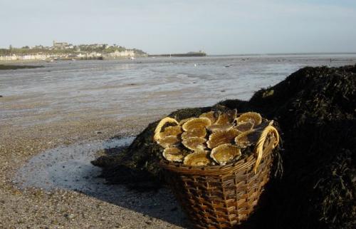 Cancale, son histoire, ses curiosités … !!! (6ème partie)