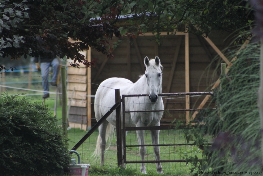 doudou & black 14/09/13