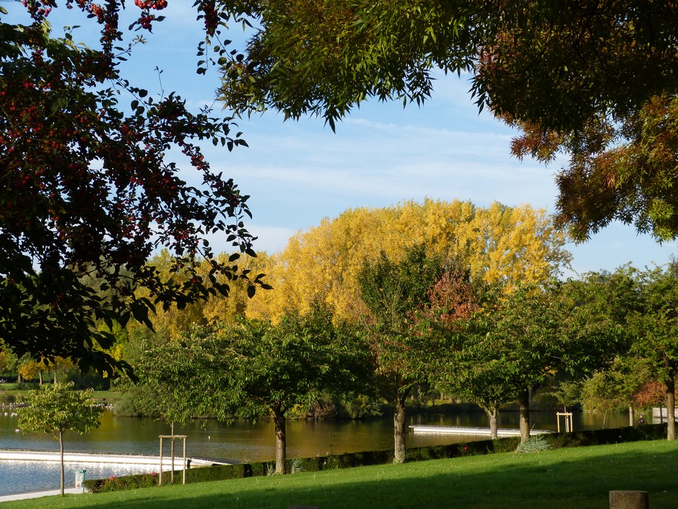 Trésors d'automne chez Anniclick