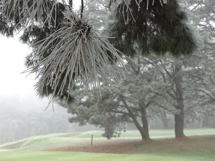 Le golf de Pornic s'habille de blanc - 2016 -