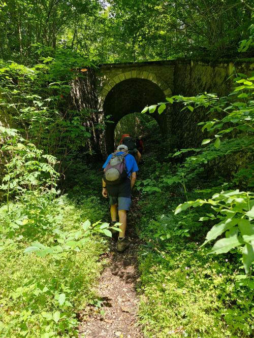 "Le long du Ru Blanc" - Mercredi 17 juillet 2024