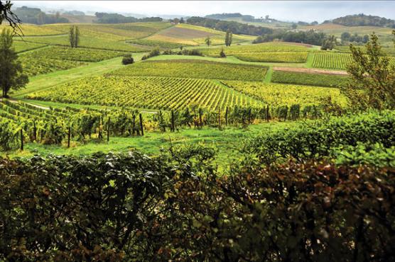 ╰⊱♥⊱╮ღ꧁ Département  24 ꧂ღ╭⊱♥≺