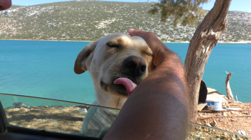 Le regard de la sentinelle