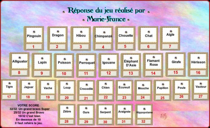 ღ꧁ღ╭⊱ꕥ  Les Yeux D'Animaux ? ꕥ⊱╮ღ꧂ღ