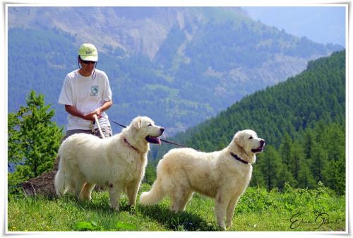 A la recherche du naturel.