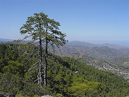 Chypre dans l'Europe