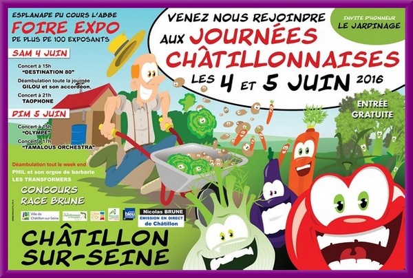 Les Journées Châtillonnaises 2016 auront lieu samedi 4 juin et dimanche 5 juin...