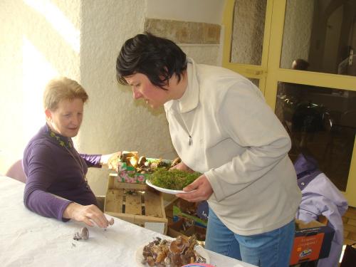 L'exposition mycologique à Châtillon sur Seine