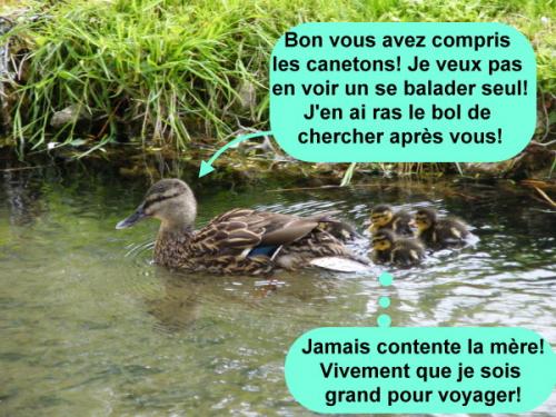 Le dimanche on se marre avec les Tiot.