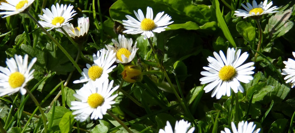 Entre deux coups de fil ...