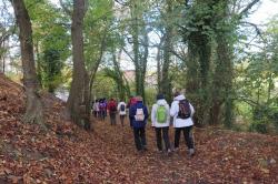 La randonnée du 6 novembre à Creully