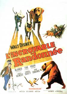 BOX OFFICE FRANCE 1980 REPRISES