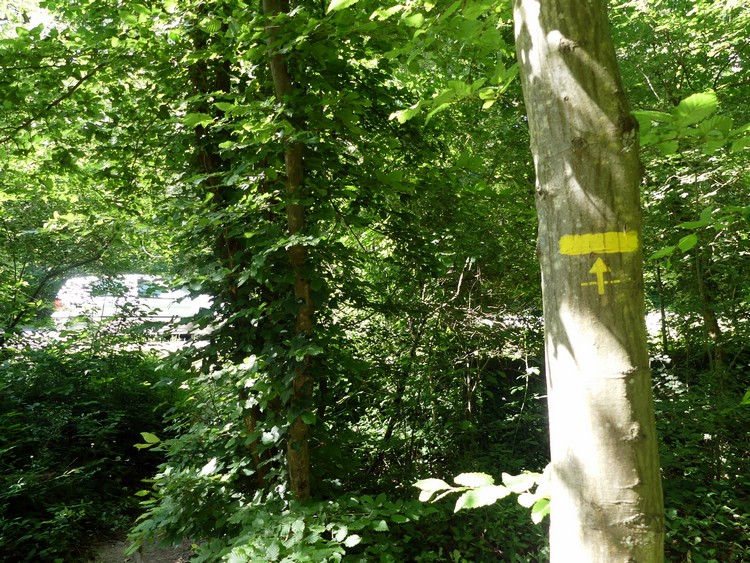 Signalétique
