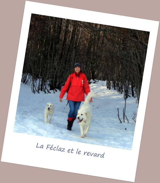 - La Féclaz/Le Revard #1.