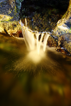 Les signes de Lourdes