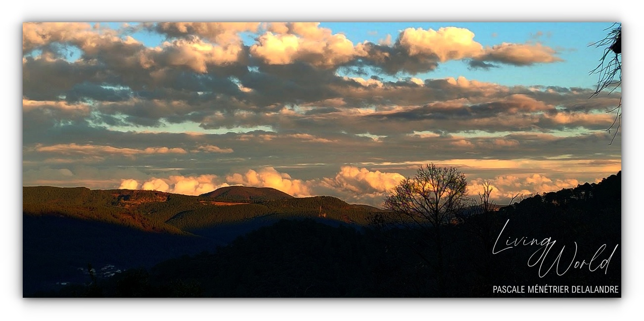 Les Cévennes (et quelques particularités)