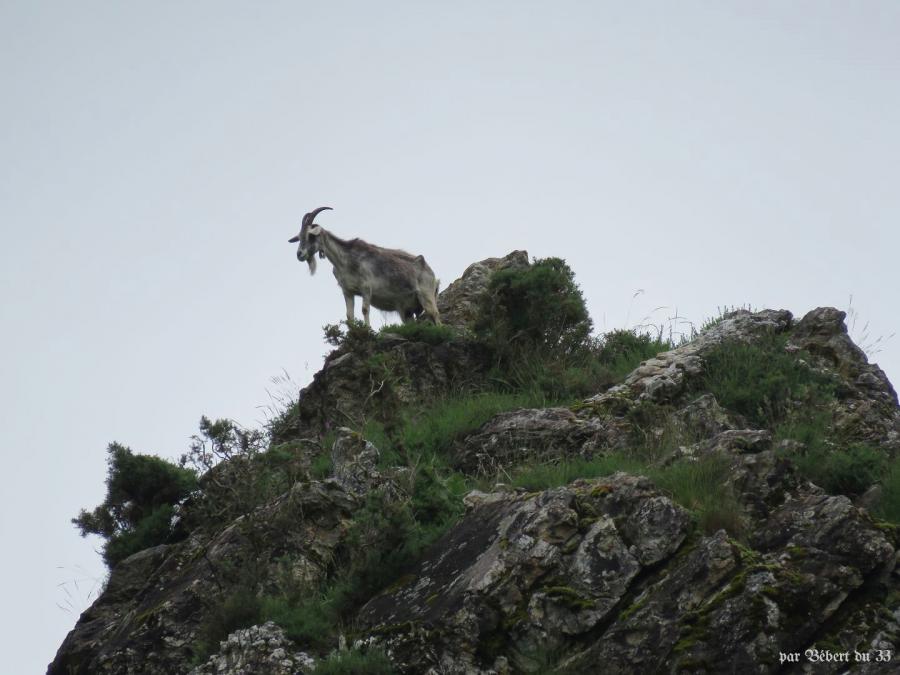 les Pas de Roland à Itxassou (64)