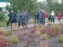 La randonnée du 5 novembre à Caen-Colline aux Oiseaux