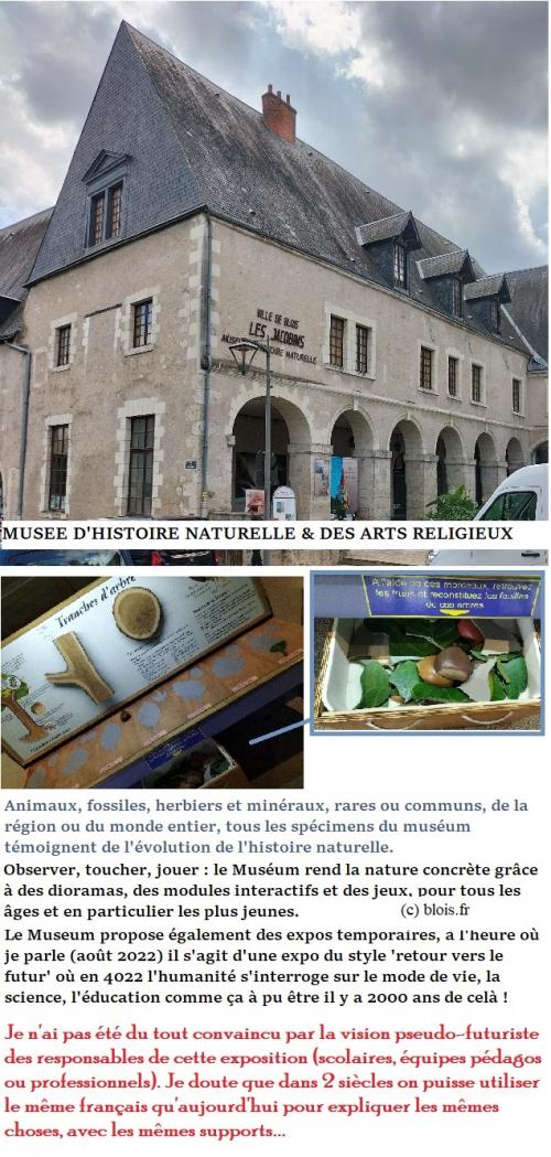 BLOIS... les Musées