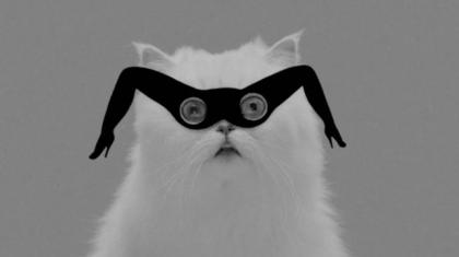 Midnight Juggernauts ..chat alors !