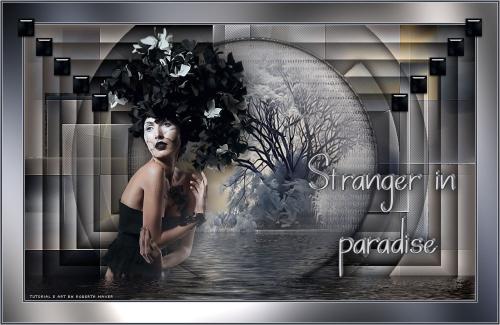 Stranger in paradise