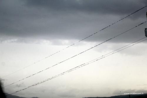 Lundi 19 au dimanche 25.10 + Bonus