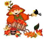 Rose d'automne