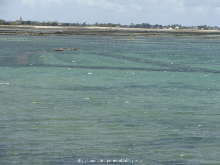 Saint Vaast la Hougue dans le Cotentin