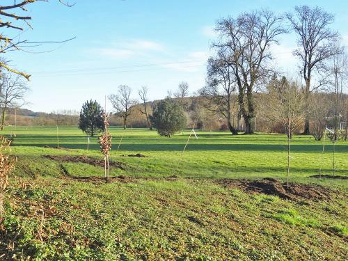 Plantation d'un arboretum à la Maison de la Forêt