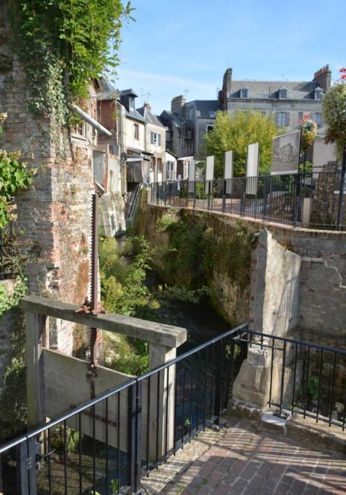 Dans le Jardin du Tripot "Au fil de l'eau" à Honfleur