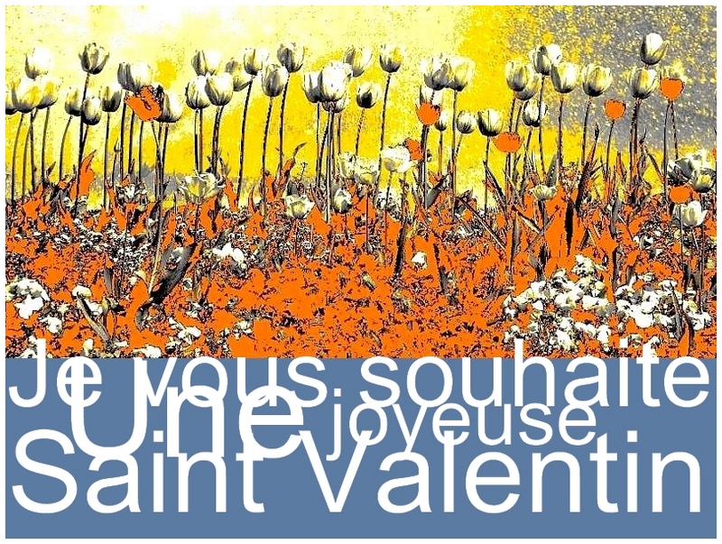 Metz / Nécessaires éphémères encombrants...