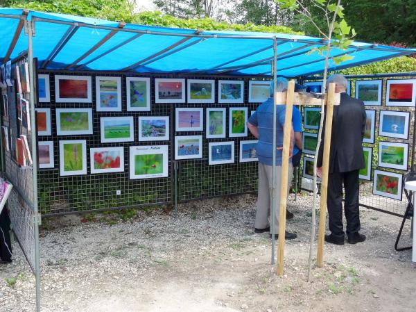 Passion peinture 2015 à Brion sur Ource