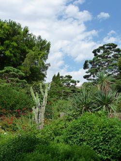 L'art de la simplicité 