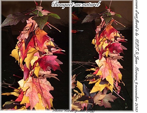 2010 09 11 MPT Bouquet au naturel (feuille)
