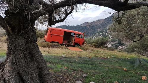 Les gorges de PLATANIA, suite...