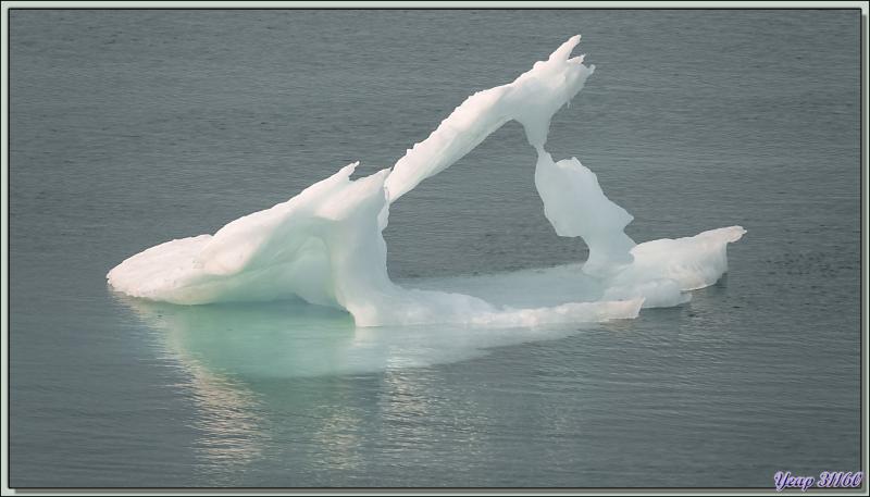 Débarquement à Grise Fiord (ᐊᐅᔪᐃᑦᑐᖅ ou Aujuittuq, le Village qui ne dégèle jamais) vu du navire - Ellesmere Island - Nunavut - Canada