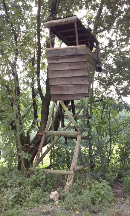 Ein Spaziergang und eine Spazierfahrt durch die Heimat: Solingen, Leichlingen, Opladen & die Balkantrasse