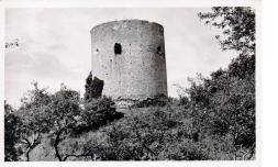 LES REMPARTS DE NEAUFLES-SAINT-MARTIN (Eure)