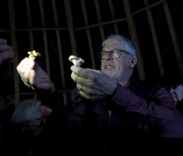 La Société Mycologique et le CSCL a organisé  une sortie découverte sur les  champignons le 16 novembre