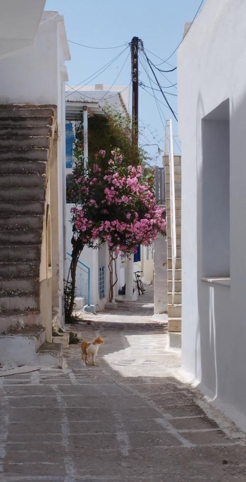PAROS en couleurs !
