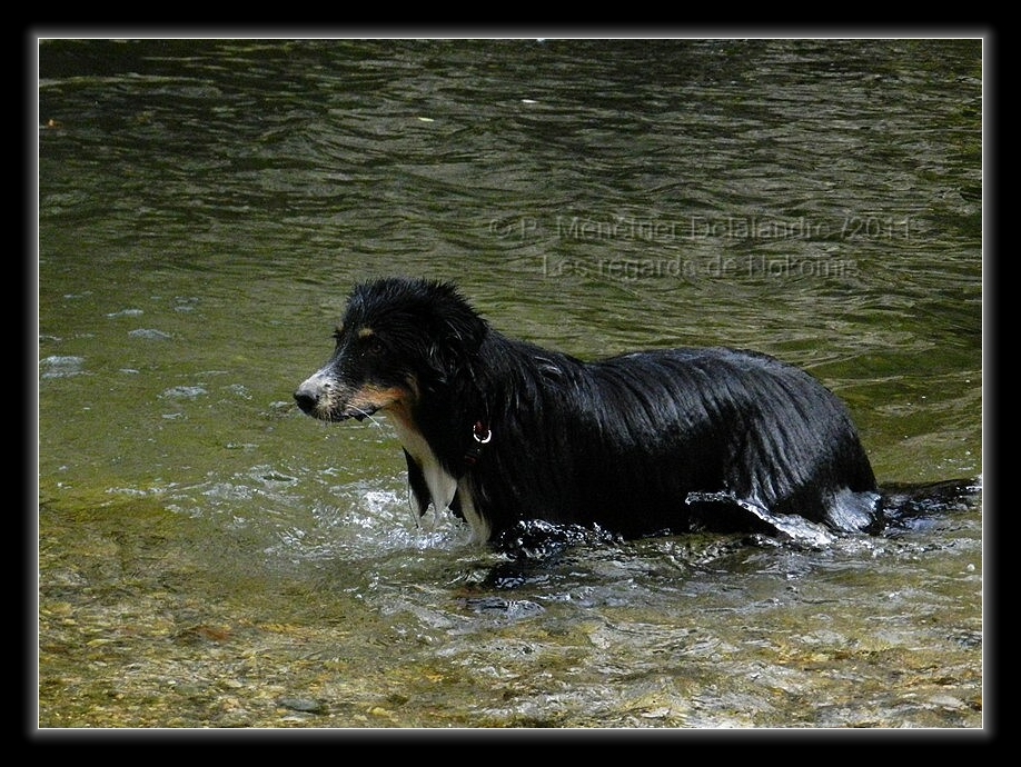 Ahhhhhhh toujours dans l'eau celui là !!!!