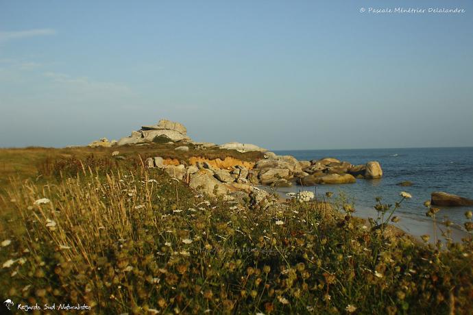 Les bords de l'Océan à Plouescat