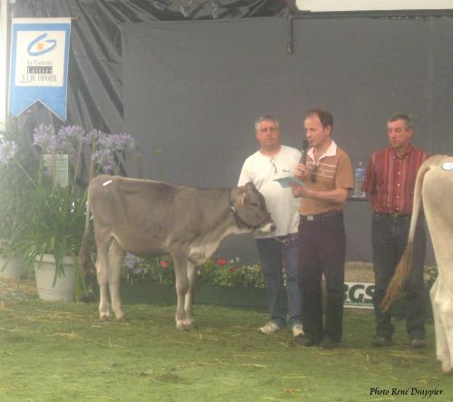 Les Journées Châtillonnaises 2009