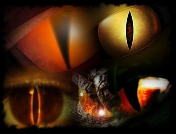 regard