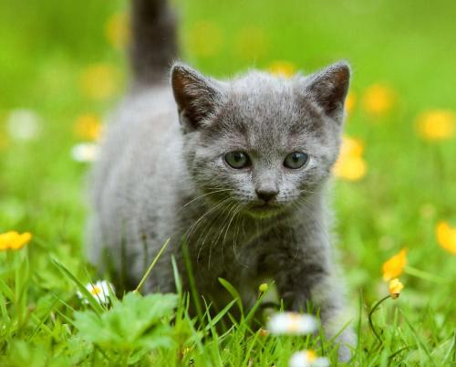 Extraits de livres lus : L?ange de la simplicité (L?Ange du ralentissement)