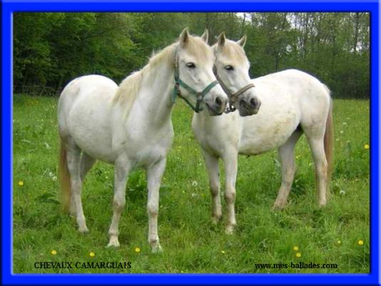 ╰⊱♥⊱╮ღ꧁   Département  30   ꧂ღ╭⊱♥≺