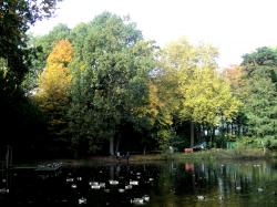  * Automne au Domaine de Bourgogne à Estaimbourg