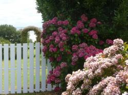 Entre Bretagne et Normandie